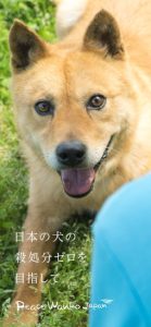 ピースワンコオリジナル「スマホ壁紙」_カラーA