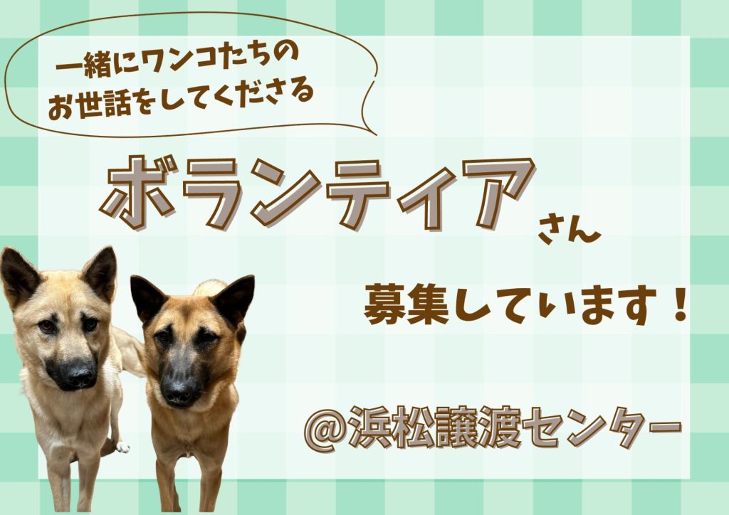 a04275a6212011ad7ba147ab9f8cc53b