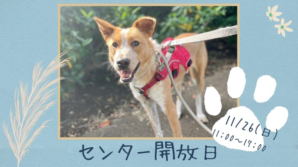 b6a375c3b924ed39d94ee1a84f374454 1