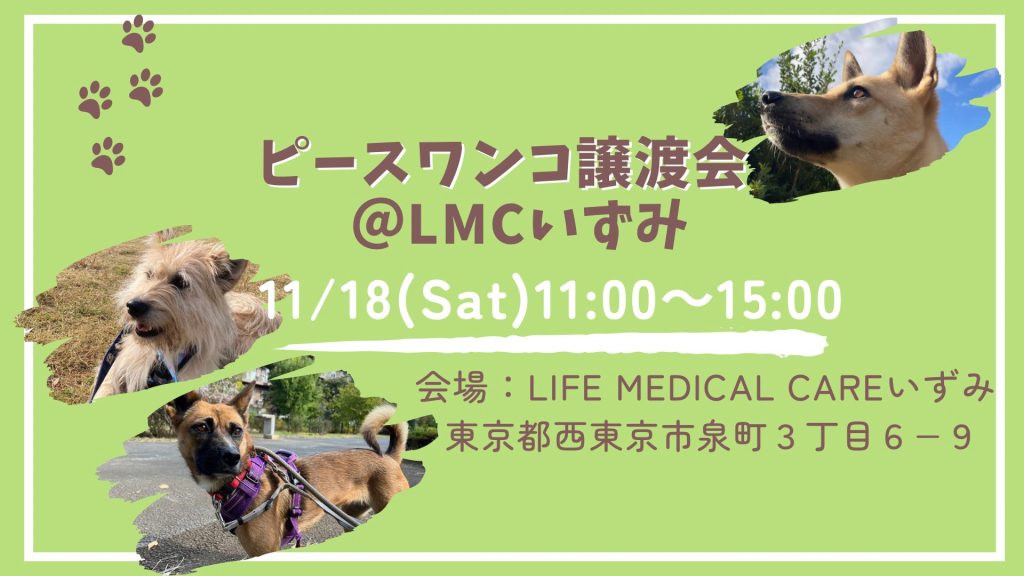 譲渡会・イベントのご案内 4 125380E3 C04E 4ED5 8CC7 3A38A2A7F5FD