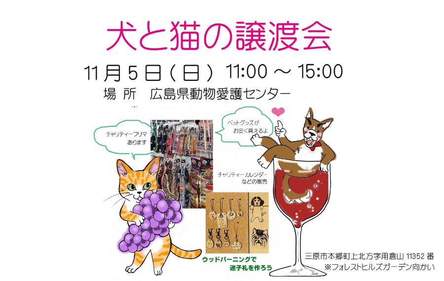 譲渡会・イベントのご案内 9 eyecatch 27