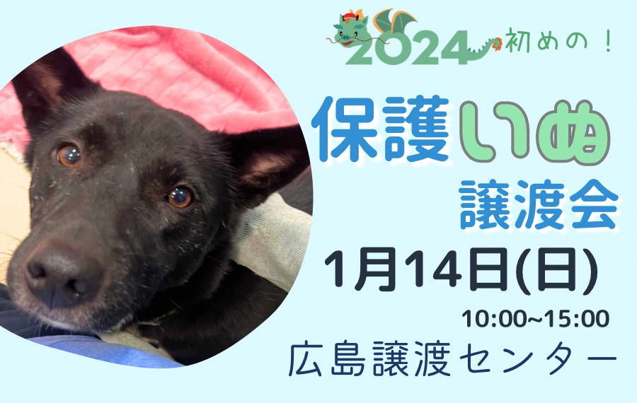 譲渡会・イベントのご案内 1 85d2286417ec7bb00768f684f7f4b23d