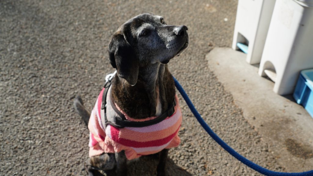 39846baa63601e64dbb0df65516a2ec2