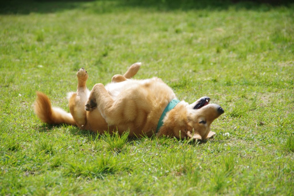 ef36fa2f78bd35aef41d43bf6e58c73a