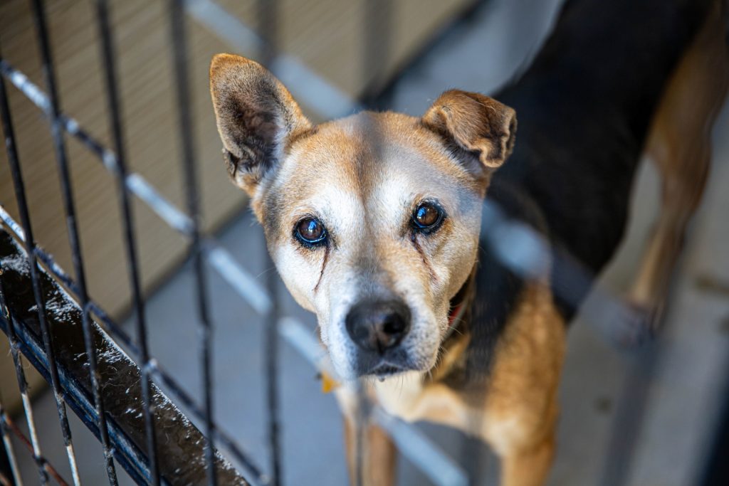 995c9d9e5c499f45a59258d77313d784