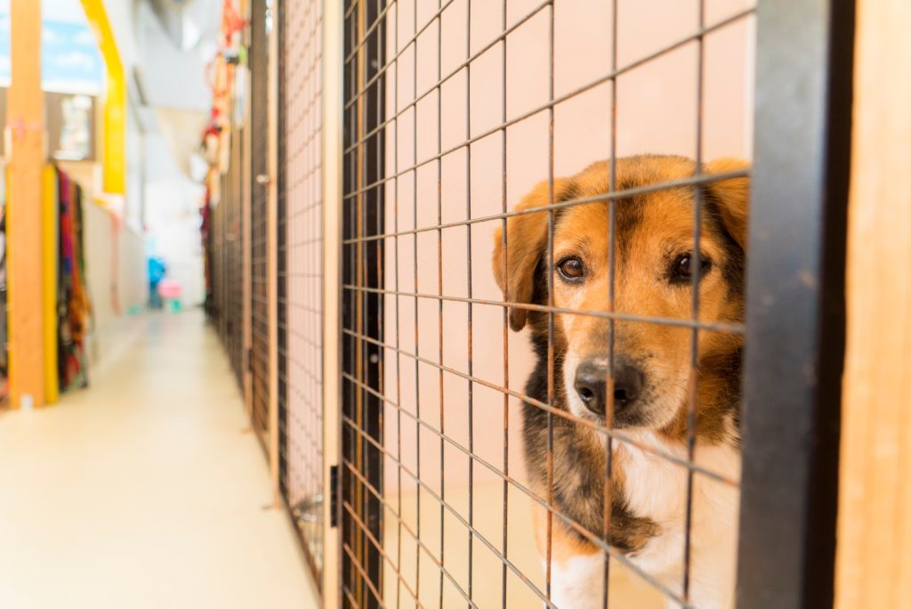 898fd2edfdbdf9f03e1dcc5cdb66525e