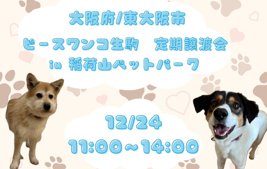 譲渡会・イベントのご案内 6 badfc7be2bc563cc8f20c96613cebaa9 1