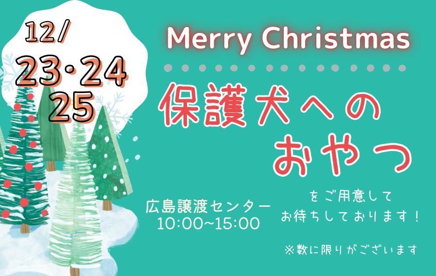 譲渡会・イベントのご案内 11 4DC0E1E1 16B5 438C A095 4C248FFAD771