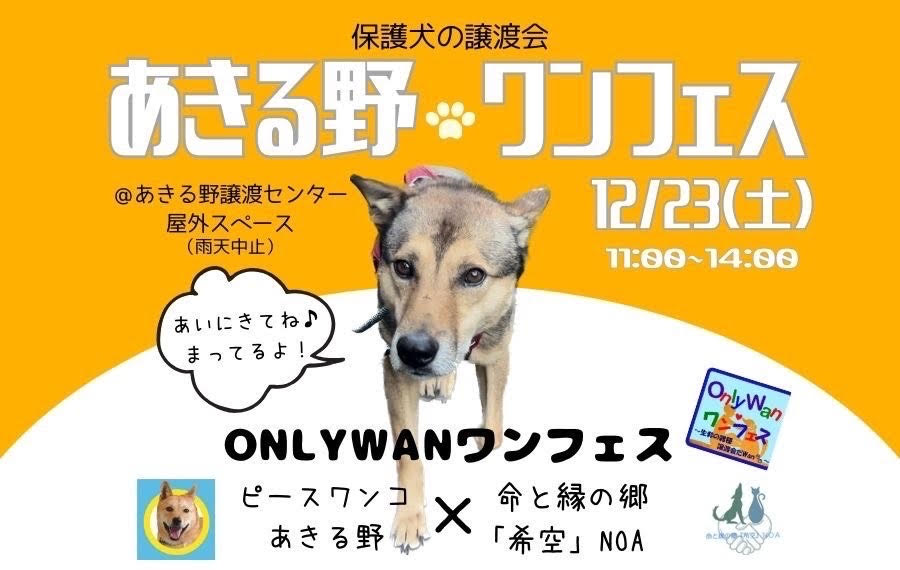 譲渡会・イベントのご案内 12 unnamed 4