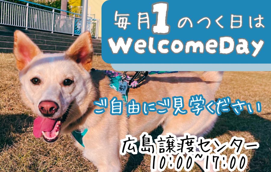 譲渡会・イベントのご案内 4 7A6FCA0B A27B 43CD 8BBB 9621461990B9