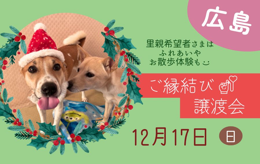 譲渡会・イベントのご案内 9 DECA81F1 E060 4FEB 8DAC 64113AAD3C36