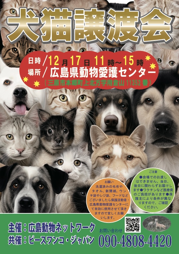 譲渡会・イベントのご案内 10 image0 36 1