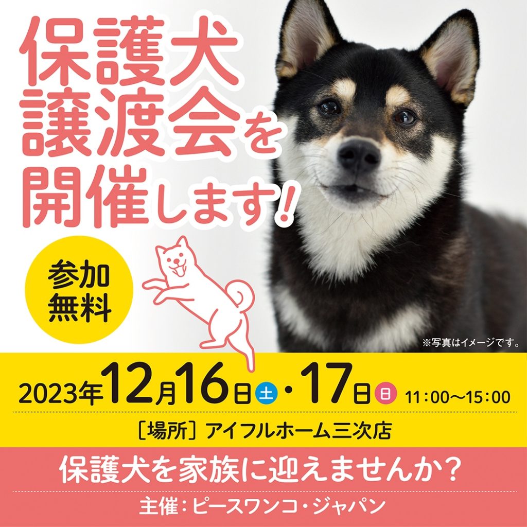 譲渡会・イベントのご案内 12 45f919d152c23aec50475a06c11954f6