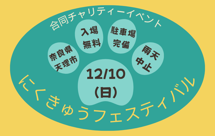 badfc7be2bc563cc8f20c96613cebaa9