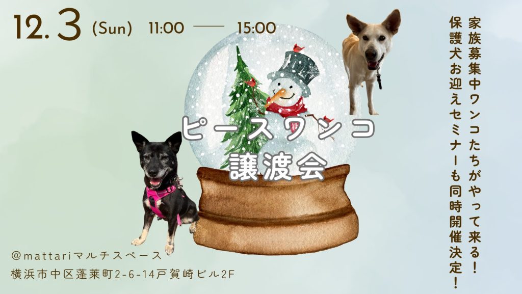 8ef9d31777ffd36ce88501e23b7b0bad