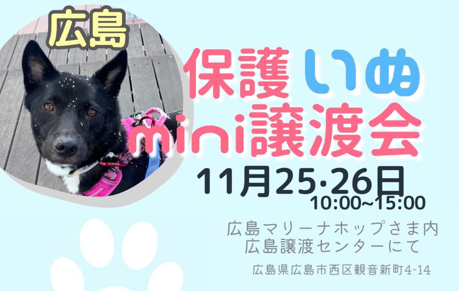 譲渡会・イベントのご案内 4 eyecatch 27 1