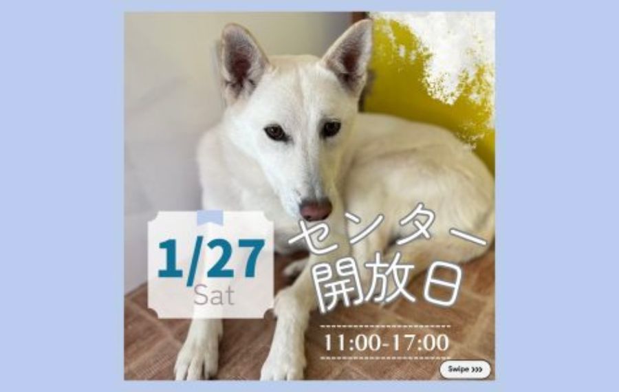 譲渡会・イベントのご案内 2 eyecatch 29