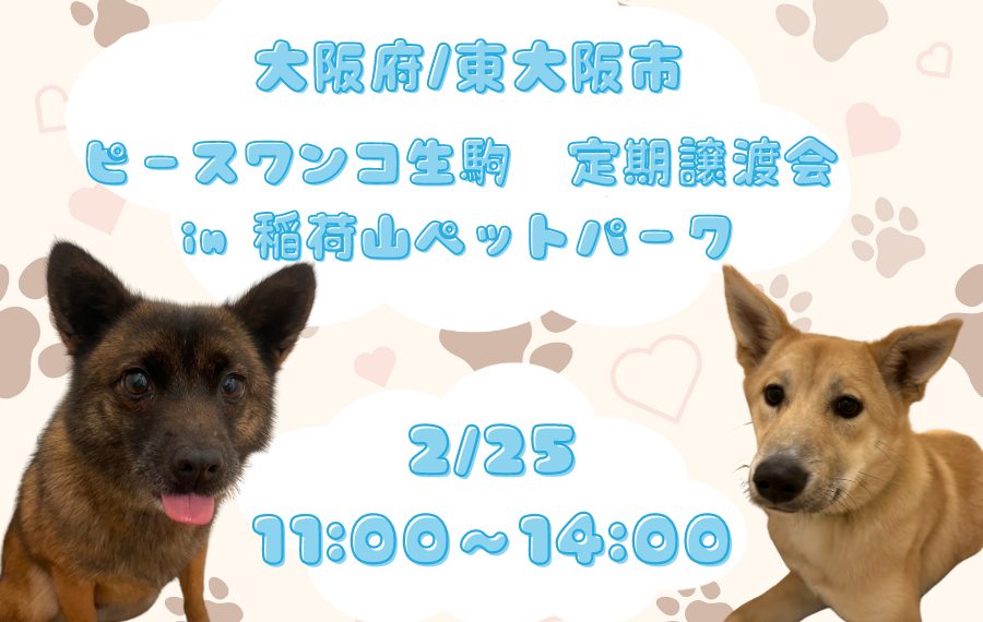 譲渡会・イベントのご案内 3 7ed890b97b14085820db33fe192d3918