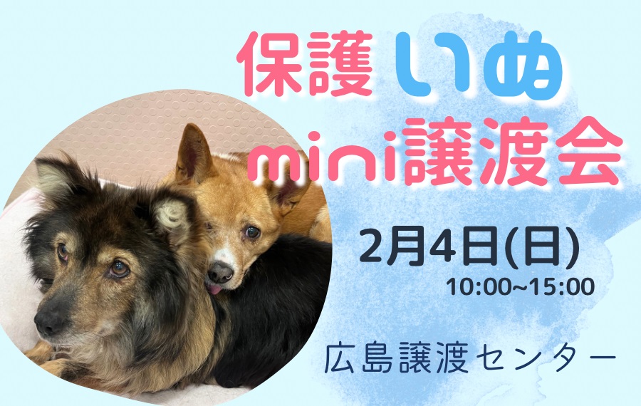 譲渡会・イベントのご案内 8 C809FC21 0C69 45F9 A274 40A4AD058539 1