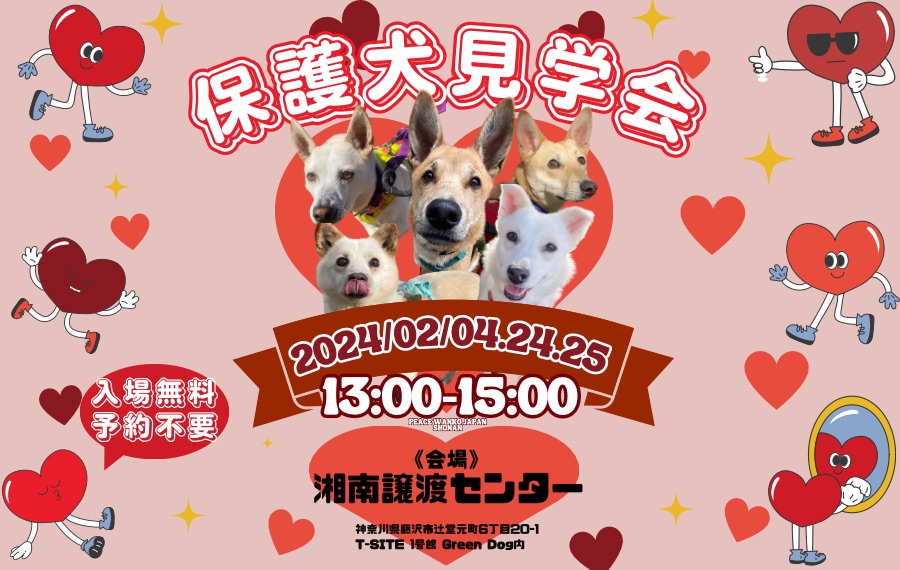 譲渡会・イベントのご案内 7 454AE5B1 D8E1 4804 8063 BC426D49F1C8 1