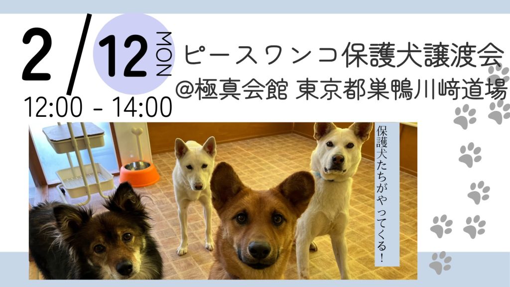 譲渡会・イベントのご案内 9 2c7a59a47b537cfd5f32ccf12b020d8c