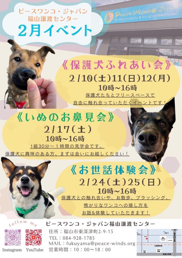 譲渡会・イベントのご案内 4 3 2