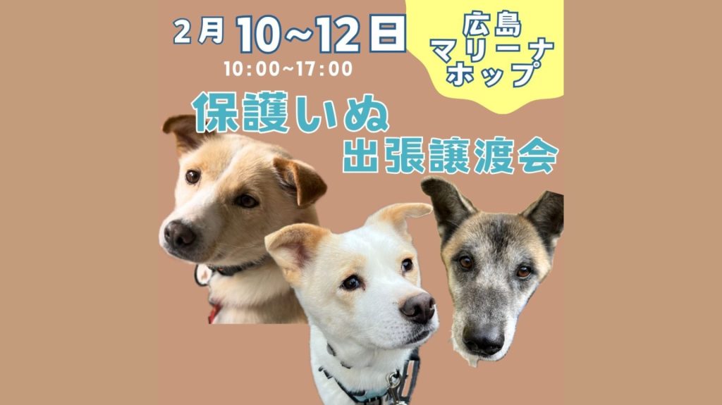 譲渡会・イベントのご案内 7 photo output