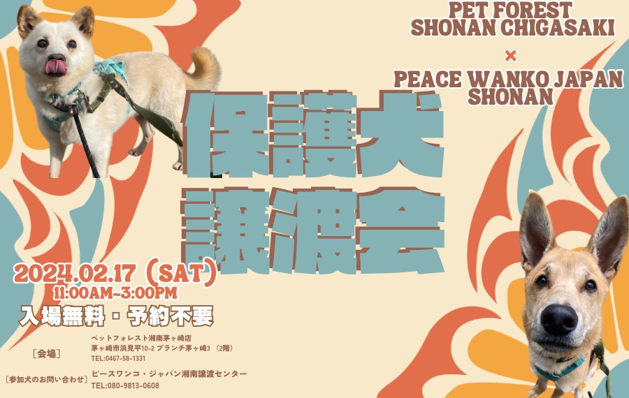 譲渡会・イベントのご案内 7 ECC36022 C969 4E5C 8494 E64D2F00F676