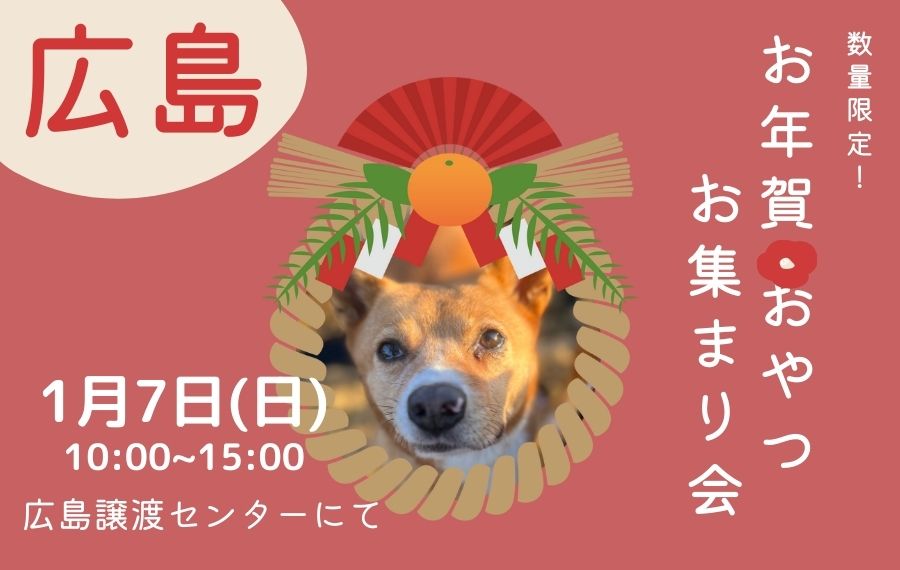 譲渡会・イベントのご案内 7 eyecatch 28