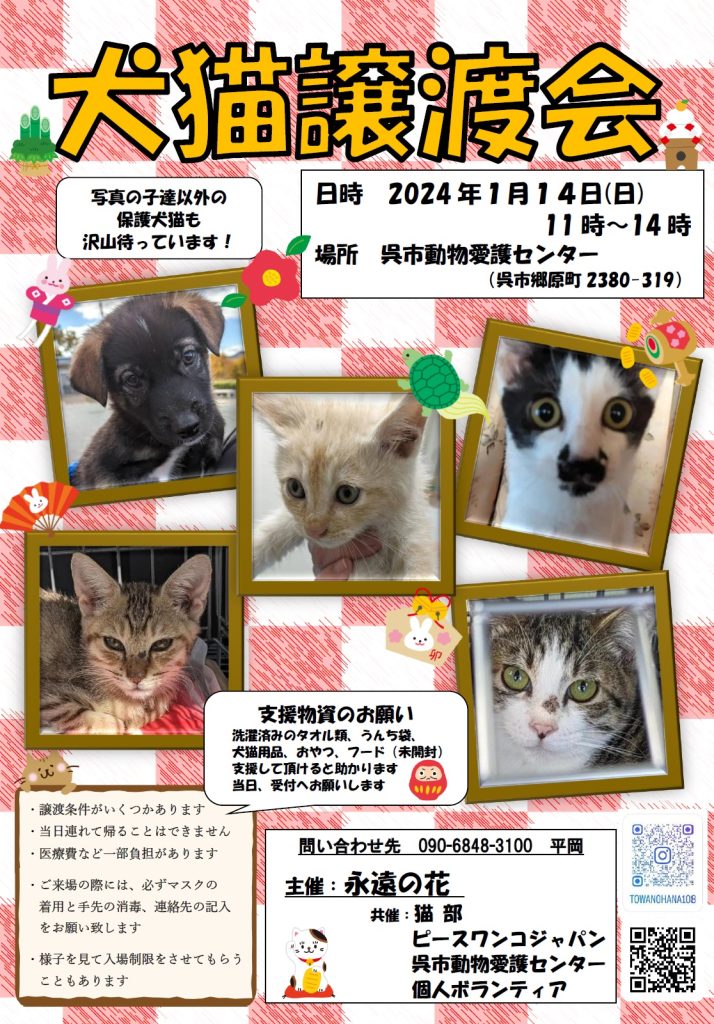 譲渡会・イベントのご案内 12 eb88c261f2a50e3b4a625dce383bb8c0