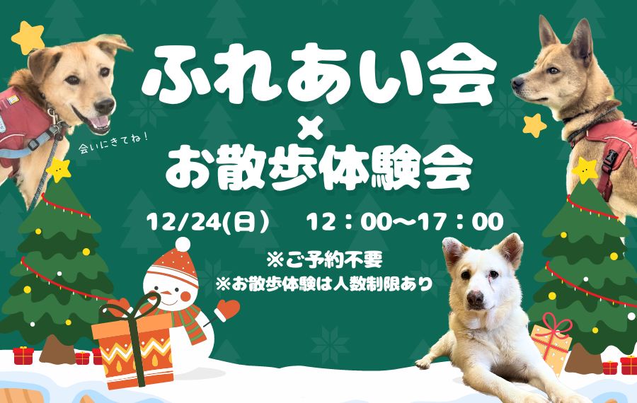 譲渡会・イベントのご案内 7 3f1fc5b9a6e2710cb6934b949055e48f