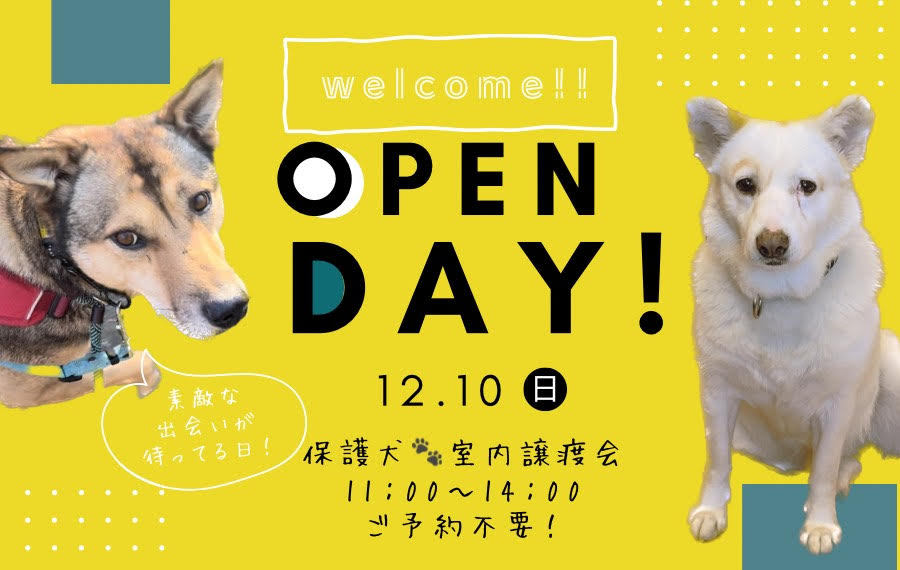 b342a5eefda0733971fc05834a793d18