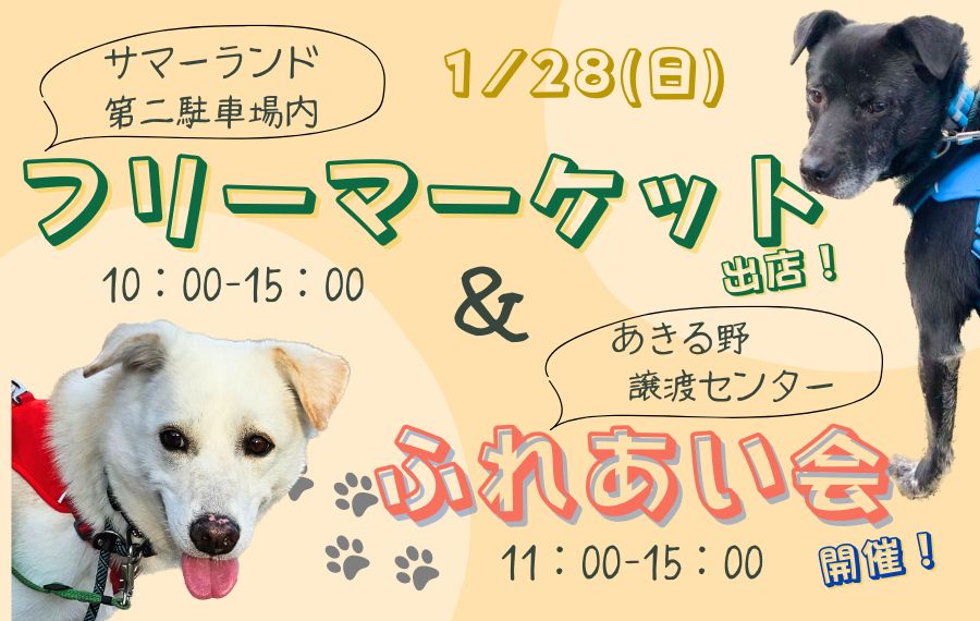 譲渡会・イベントのご案内 11 44e4771b195b5a80d37524fb6c23b3b1 1