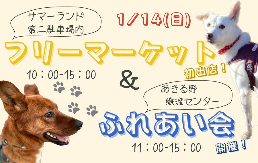 譲渡会・イベントのご案内 9 604d9e0ab4fe51b2b75d9677d3e33c6f