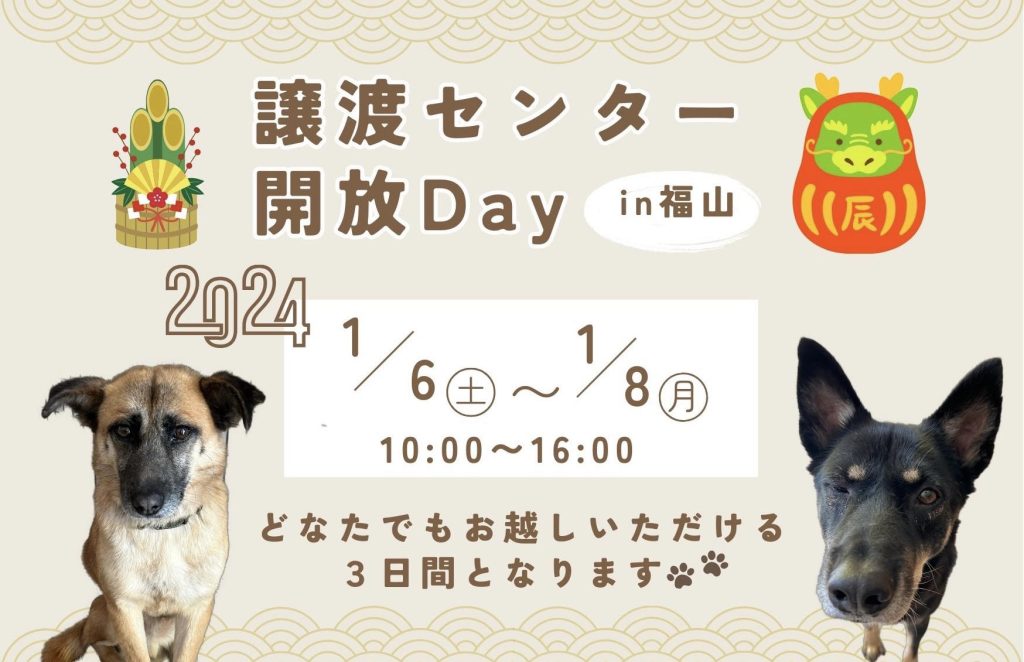 譲渡会・イベントのご案内 9 7534ac0441c2e1979212966f4ccbcc82