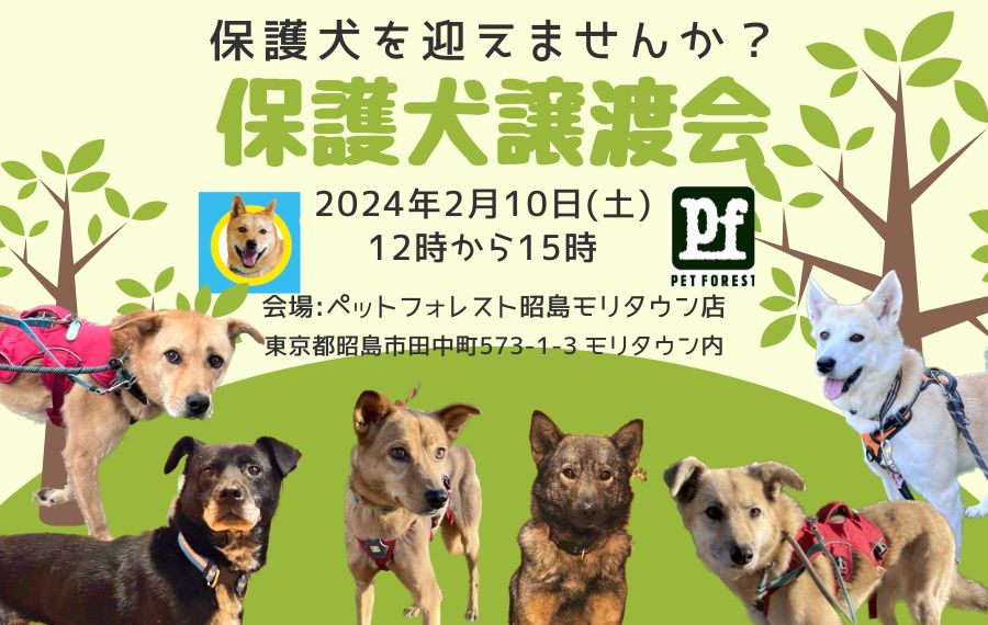 譲渡会・イベントのご案内 5 1e13046f0f3a662d95de597375096531