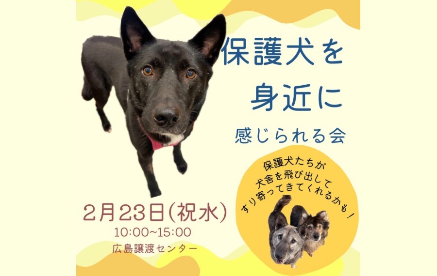 譲渡会・イベントのご案内 9 89D3487F B974 400F A6D7 99BF0C4D4416