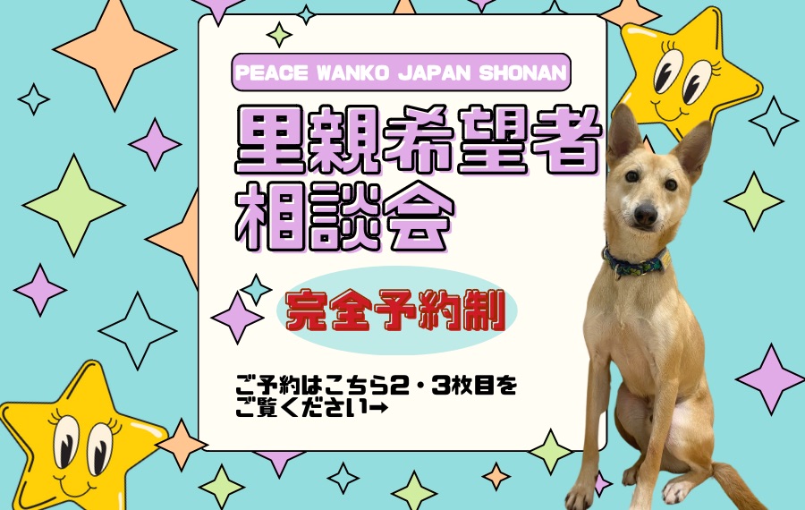 2F5088CA 13E3 4333 B054 480D5847F5F3