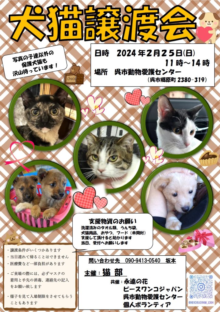 譲渡会・イベントのご案内 4 jinseki