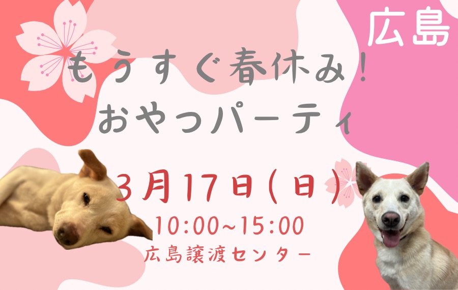 譲渡会・イベントのご案内 4 FDE854C5 0B90 466D 8793 499A134C5CD7