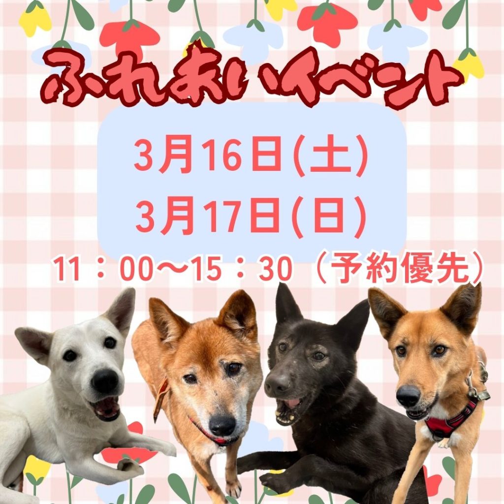 譲渡会・イベントのご案内 10 bbc1fd6d849c0126d4ff96212f4af8ae