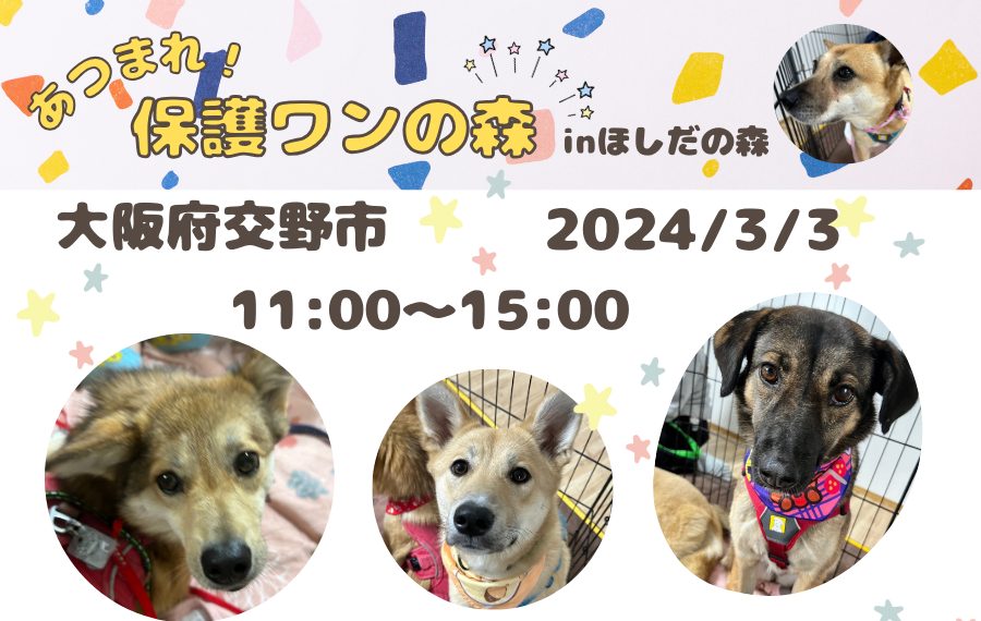 a80e98e2328c65d26d34d87664b0904a