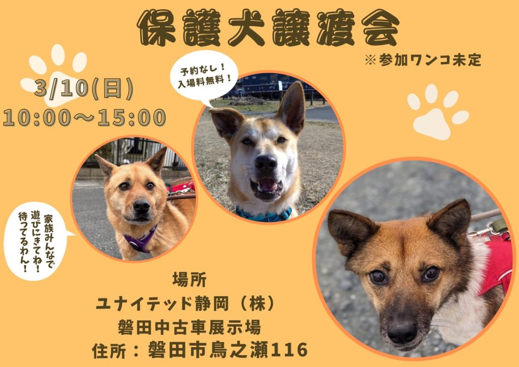 7a3e15fa53bdb4c38844ea5639e4f047