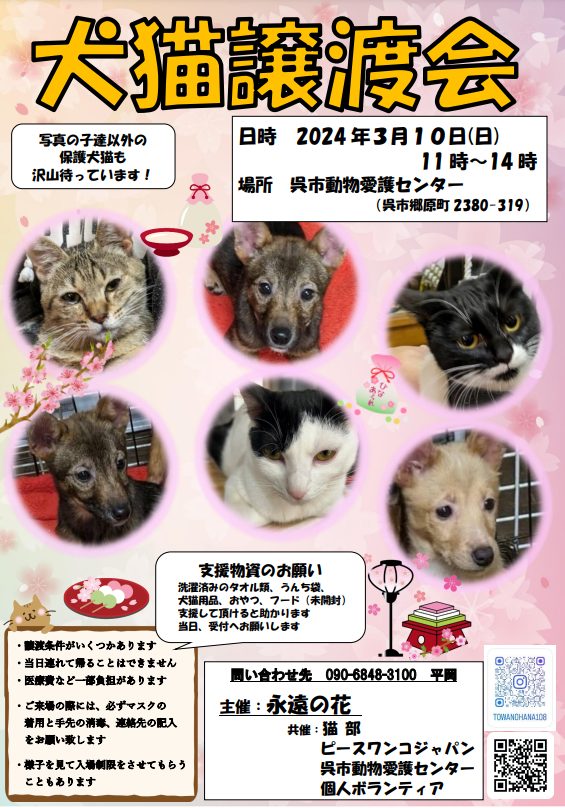 628627229f7b5020642b43327afe1618