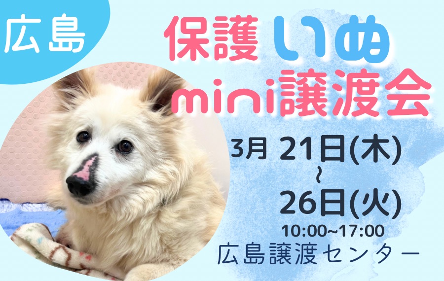 譲渡会・イベントのご案内 1 0B89E807 F5A0 4310 86AA 7624167AF1A4