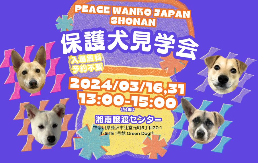 譲渡会・イベントのご案内 6 B781623C 594F 4939 AA7D D676000CAF54 1