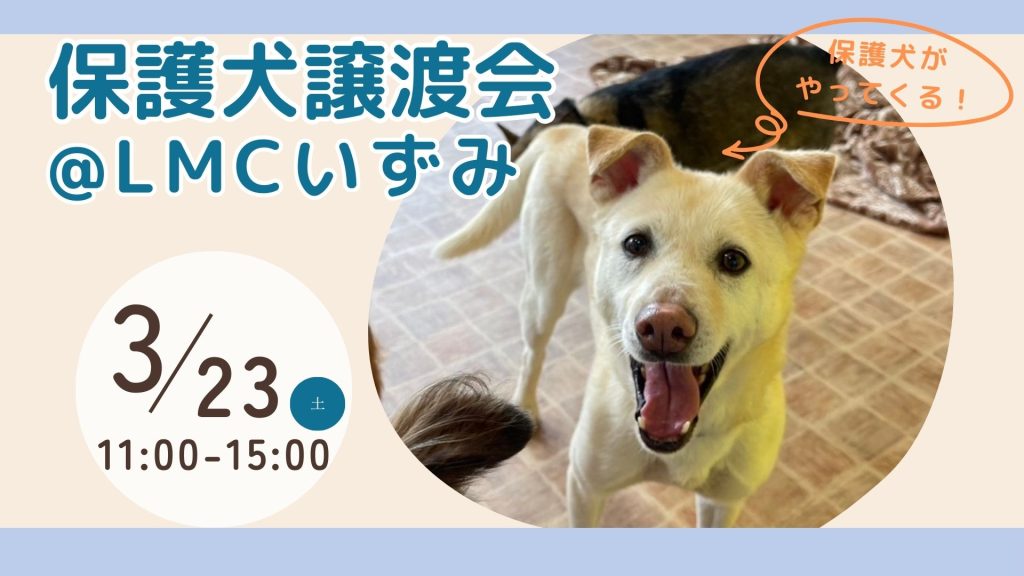 譲渡会・イベントのご案内 9 ce5a53fe699c1dbafb2db377f3a7ac0b