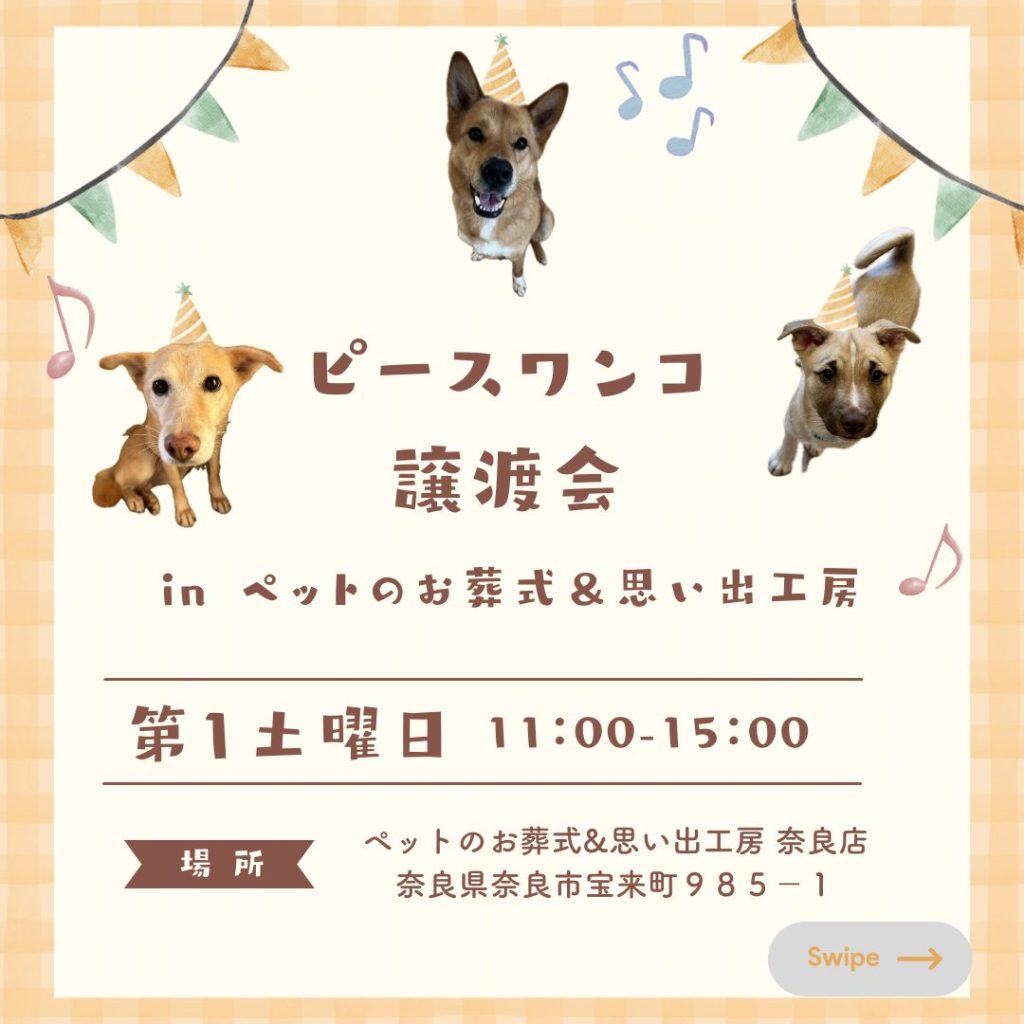 譲渡会・イベントのご案内 11 0837db7c35f90d024286f050235fe314