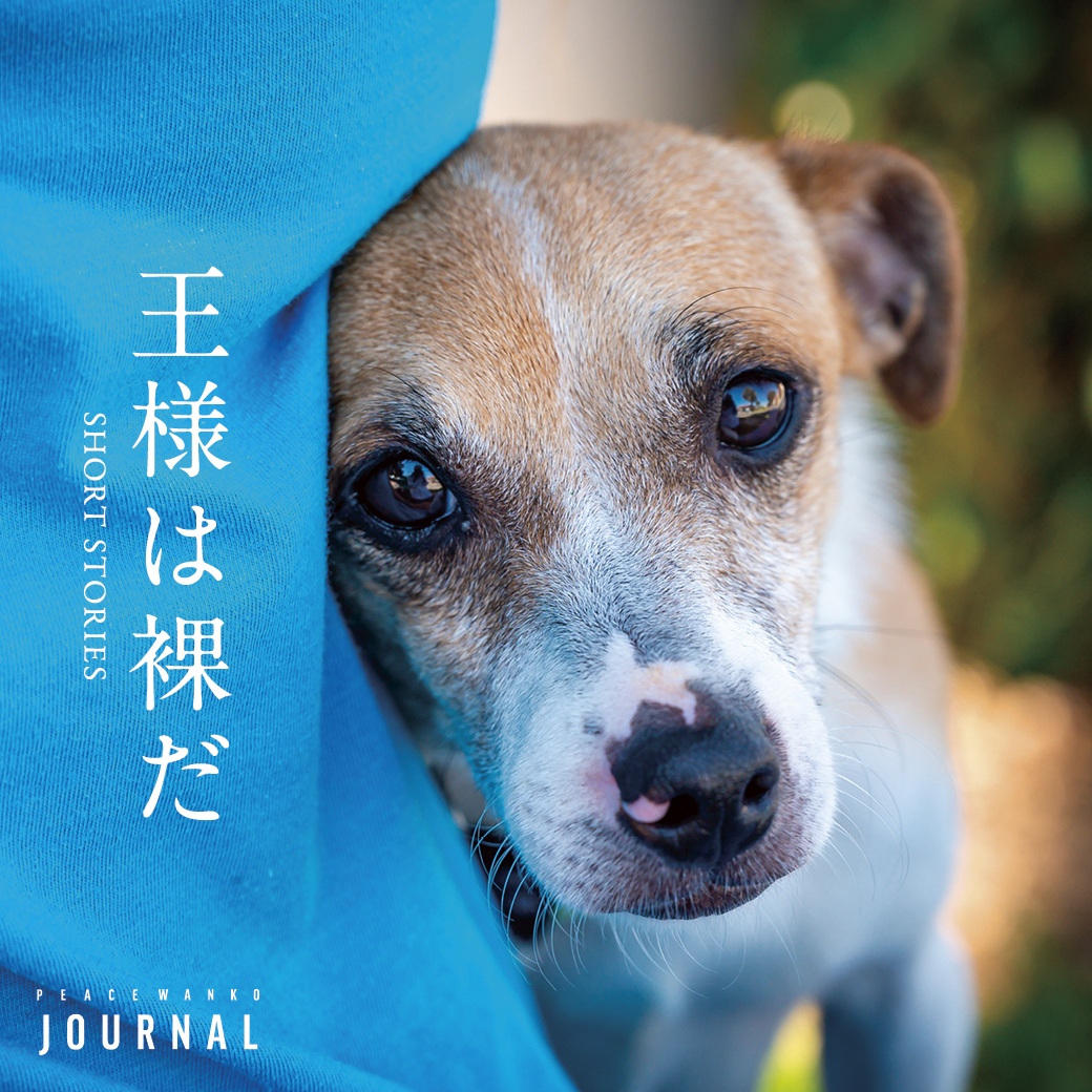 ぬいぐるみ　裸の王様犬　確認用 ぬいぐるみ裸の王様犬確認用