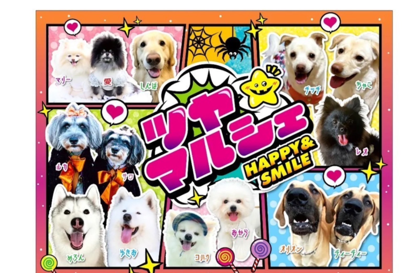 ピースワンコのイベント】10/13(日)「ツヤマルシェ」に参加（岡山/津山